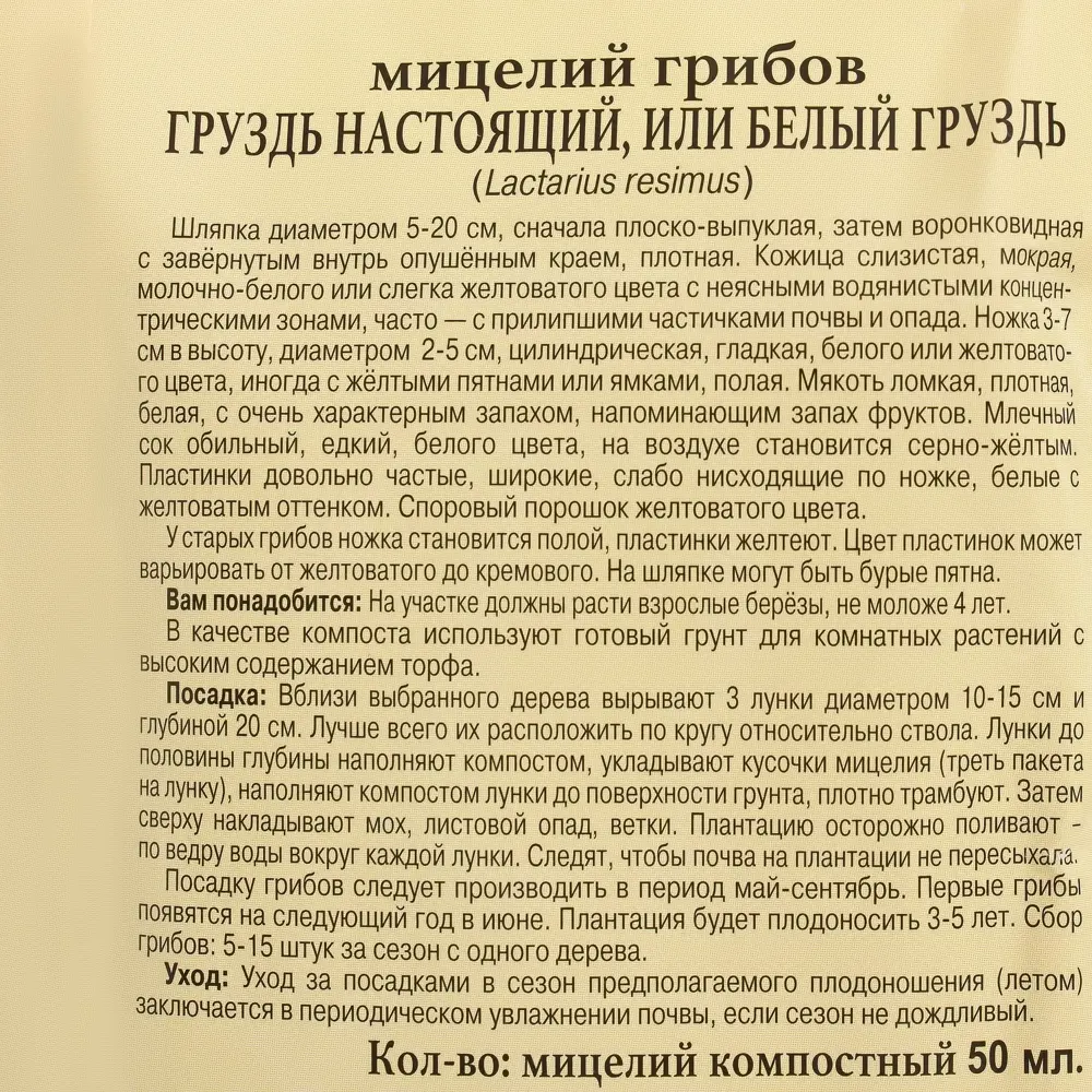 Фото 3 Семена Гриб груздь «Настоящий»