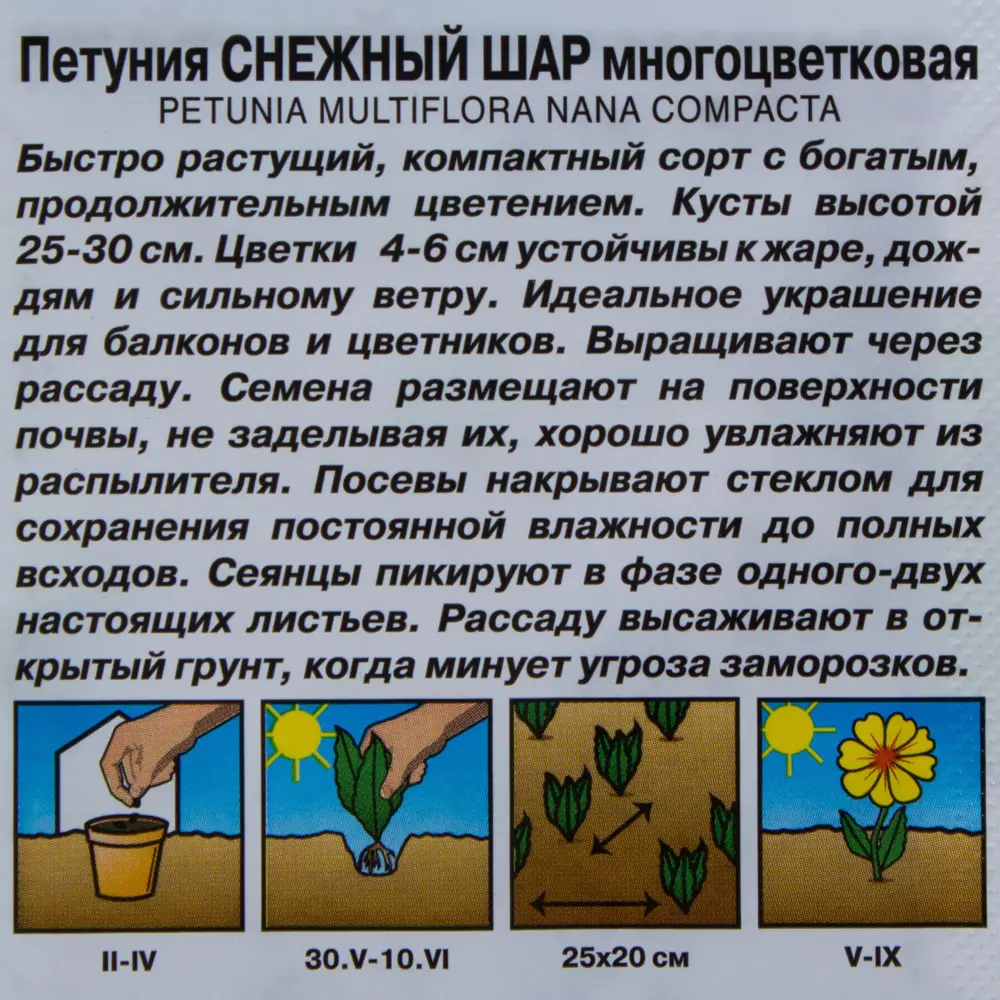 Фото 3 Петуния многоцветковая «Снежный шар» Фото 3 Петуния многоцветковая «Снежный шар»