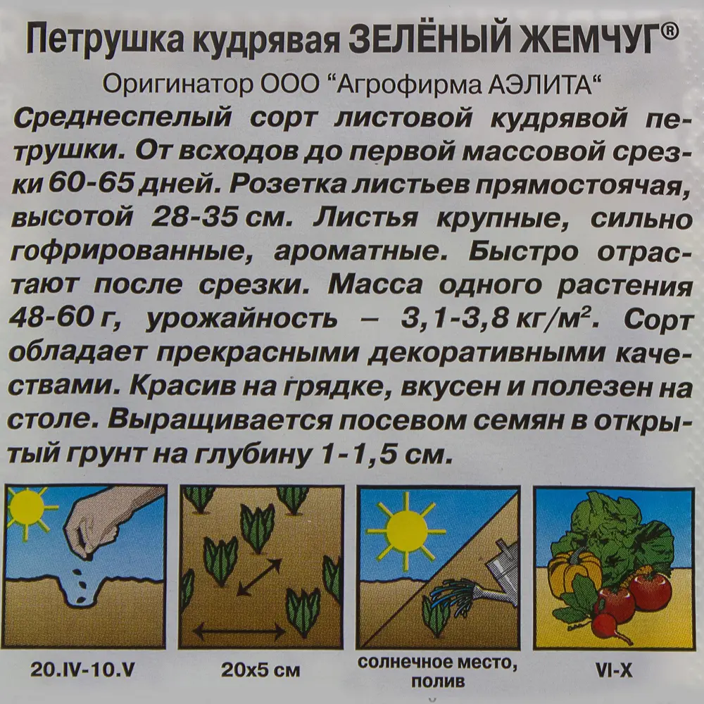 Фото 3 Семена Петрушка кудрявая «Зелёный жемчуг» Фото 3 Семена Петрушка кудрявая «Зелёный жемчуг»