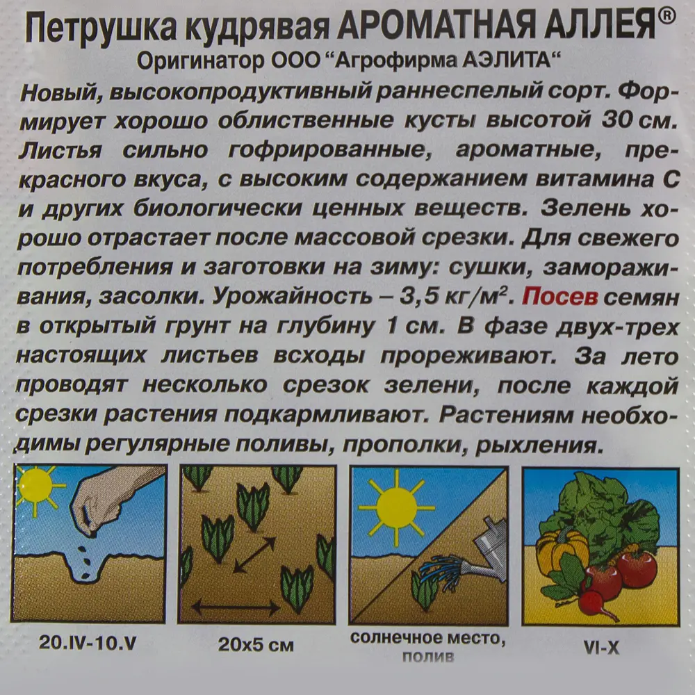Фото 3 Семена Петрушка кудрявая «Ароматная аллея» Фото 3 Семена Петрушка кудрявая «Ароматная аллея»