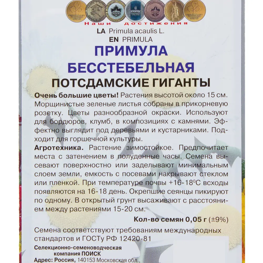 Фото 3 Примула бесстебельная «Потсдамские гиганты» Фото 3 Примула бесстебельная «Потсдамские гиганты»