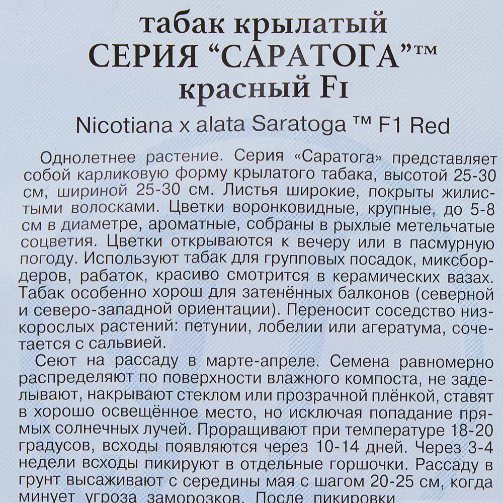 Фото 3 Табак крылатый красный «Саратога F1» Фото 3 Табак крылатый красный «Саратога F1»