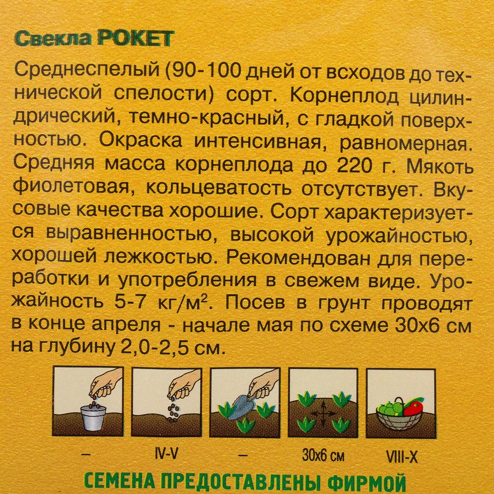 Фото 3 Семена Свёкла «Рокет» 1 г, (Голландия) Фото 3 Семена Свёкла «Рокет» 1 г, (Голландия)