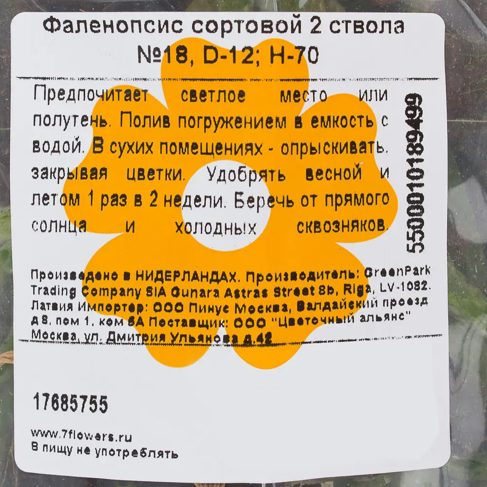 Фото 4 Орхидея Фаленопсис сортовой 2 ствола N18 ø12 h70 см Фото 4 Орхидея Фаленопсис сортовой 2 ствола N18 ø12 h70 см