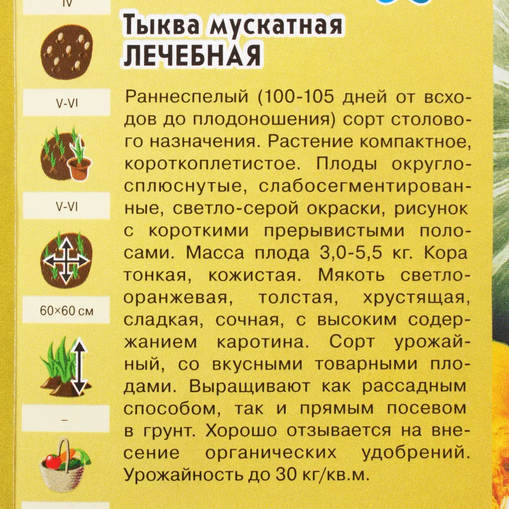 Фото 3 Семена Тыква «Лечебная» 2 г Фото 3 Семена Тыква «Лечебная» 2 г
