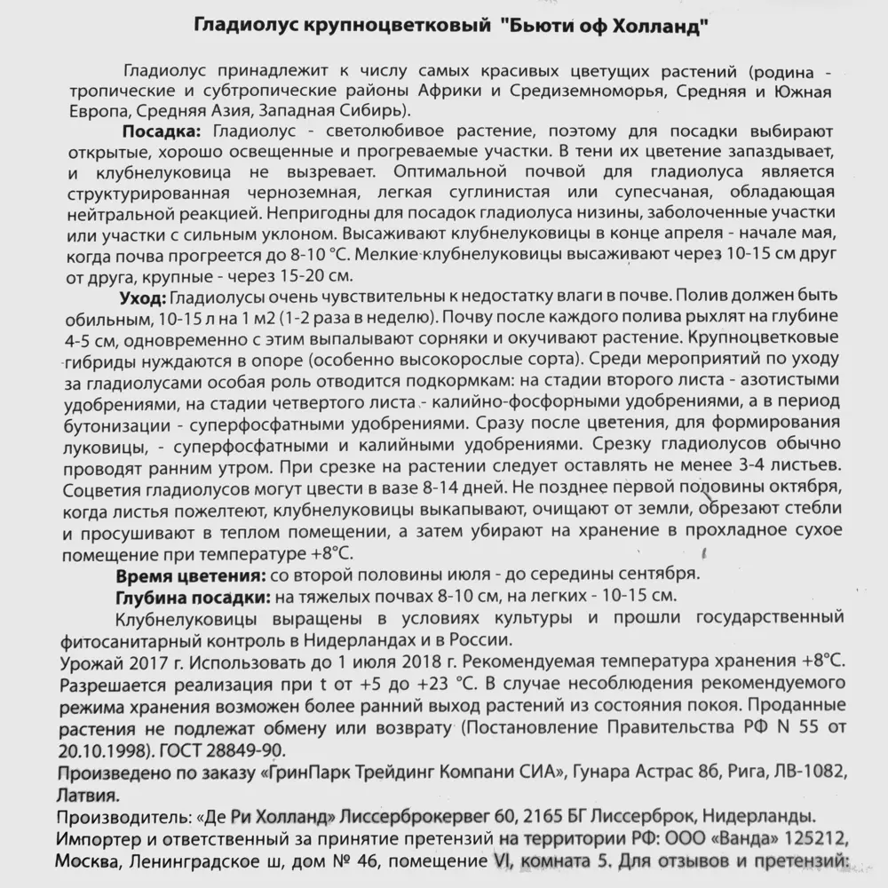 Фото 3 Гладиолус «Бьюти оф Холланд» Фото 3 Гладиолус «Бьюти оф Холланд»