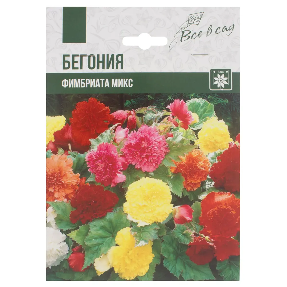 Фото Бегония «Фимбриата», микс Фото Бегония «Фимбриата», микс