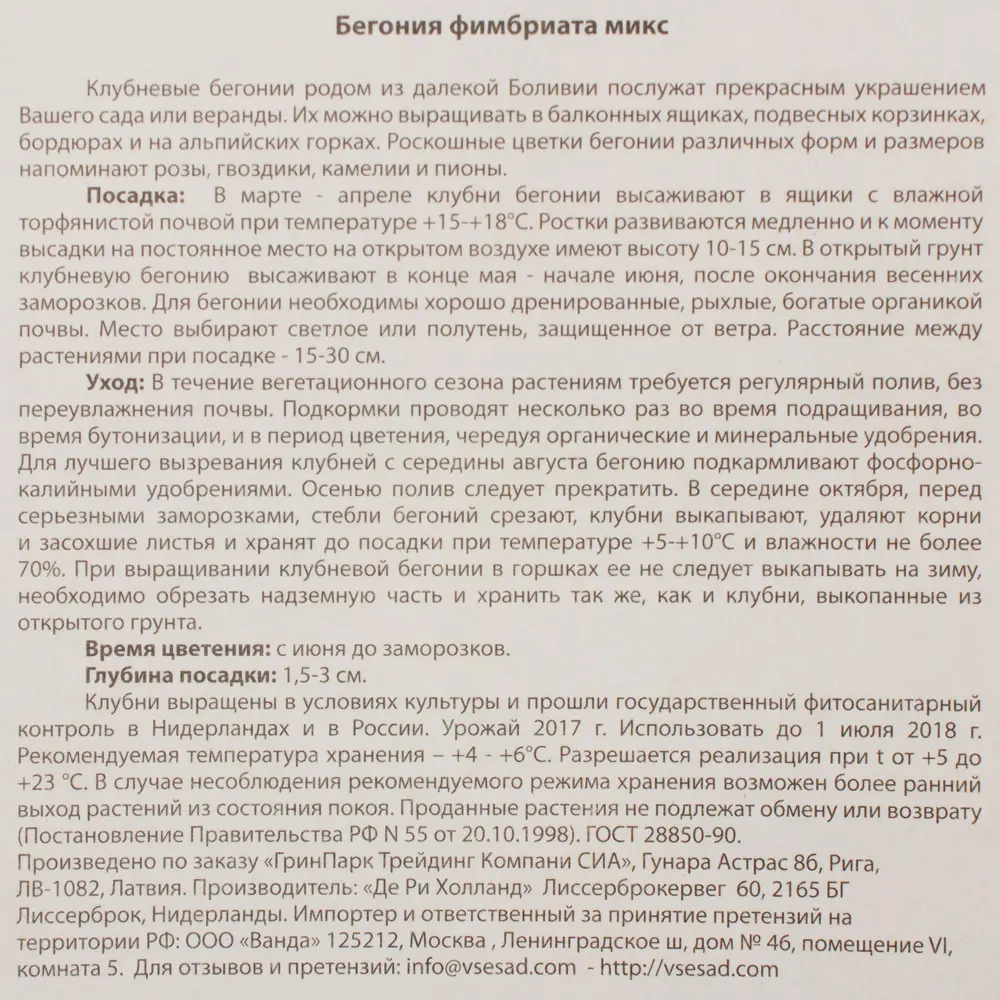 Фото 3 Бегония «Фимбриата», микс Фото 3 Бегония «Фимбриата», микс