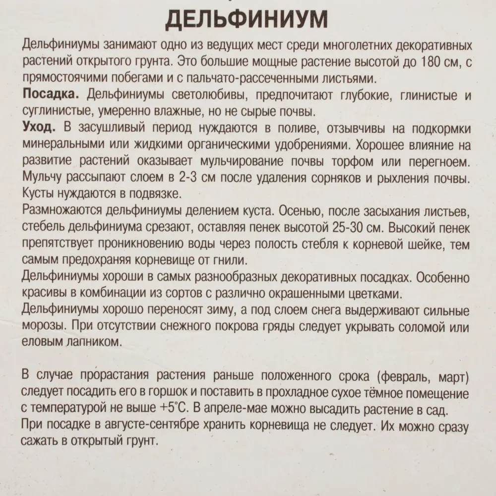 Фото 3 Дельфиниум тихоокеанский Галахад I, 1 шт Фото 3 Дельфиниум тихоокеанский Галахад I, 1 шт