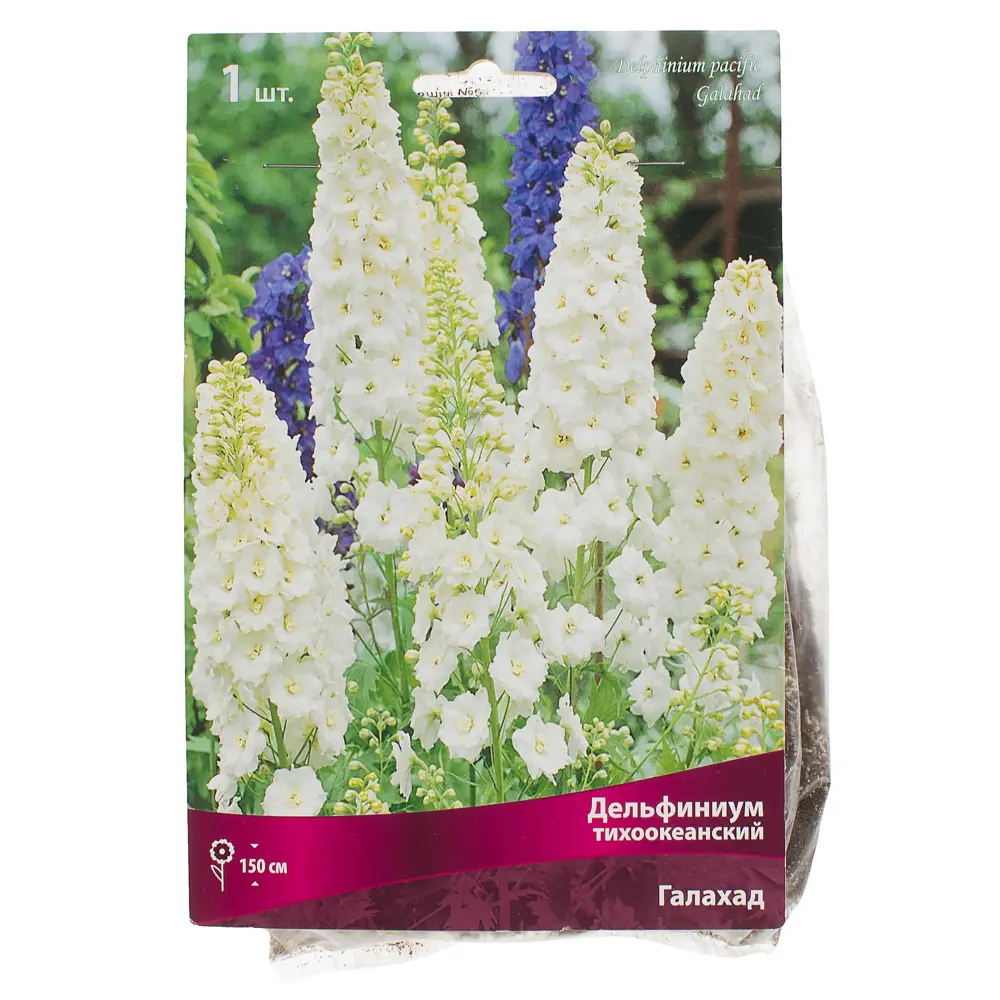 Фото Дельфиниум тихоокеанский Галахад I, 1 шт Фото Дельфиниум тихоокеанский Галахад I, 1 шт