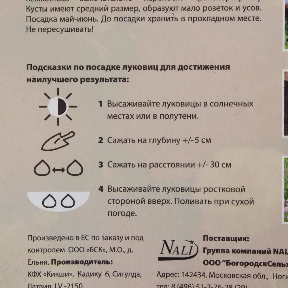 Фото 4 Клубника Элсанта I (3) Фото 4 Клубника Элсанта I (3)