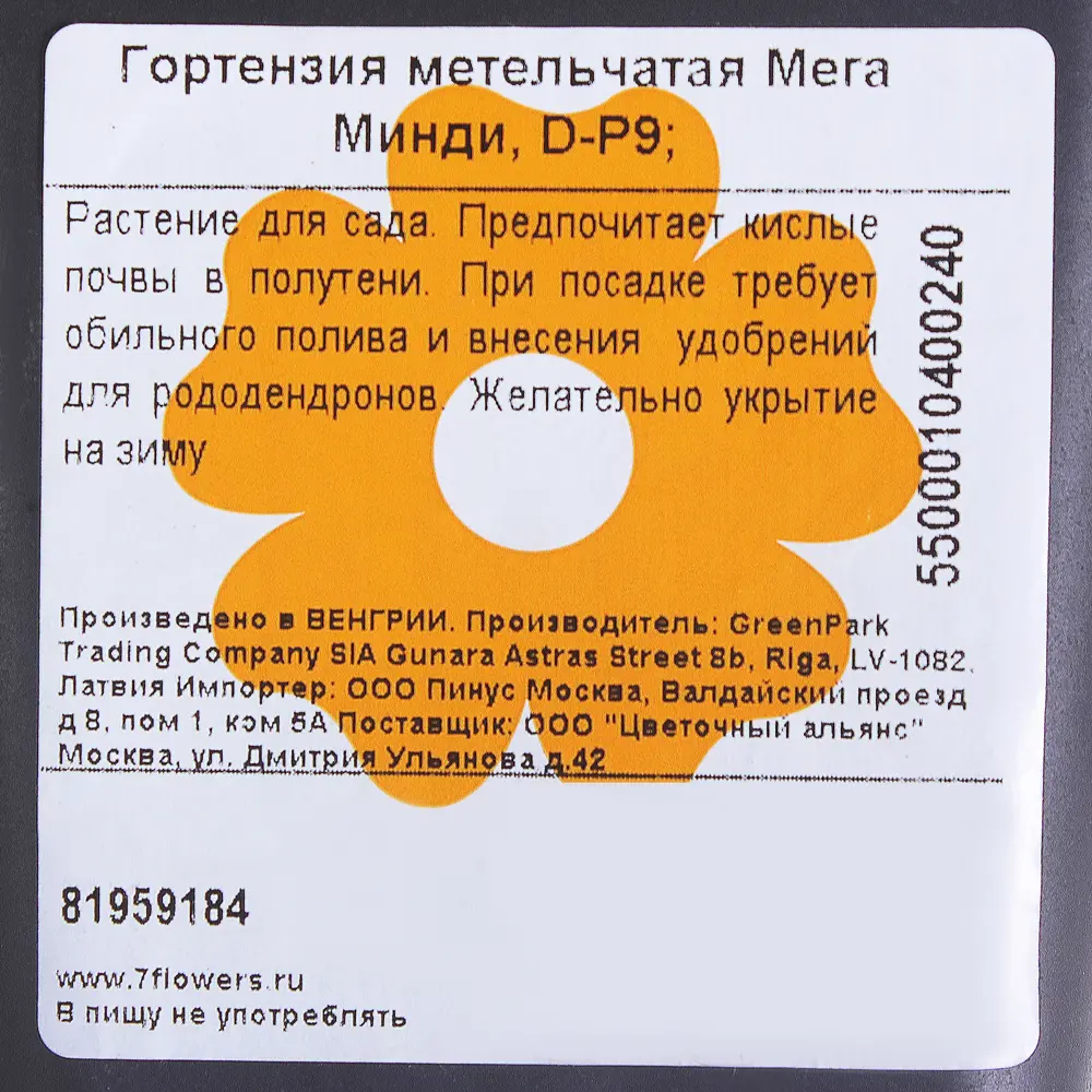 Фото 3 Гортензия метельчатая «Мега Минди» Р9