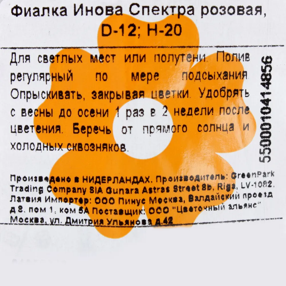 Фото 4 Фиалка розовая «Инова Спектра» Фото 4 Фиалка розовая «Инова Спектра»