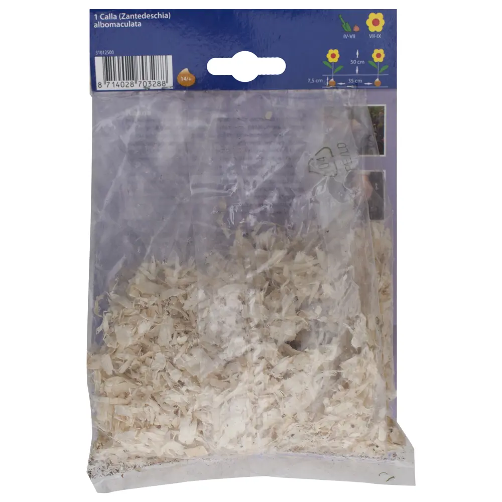 Фото 2 Калла Албомакулата 14/+ (1) Фото 2 Калла Албомакулата 14/+ (1)