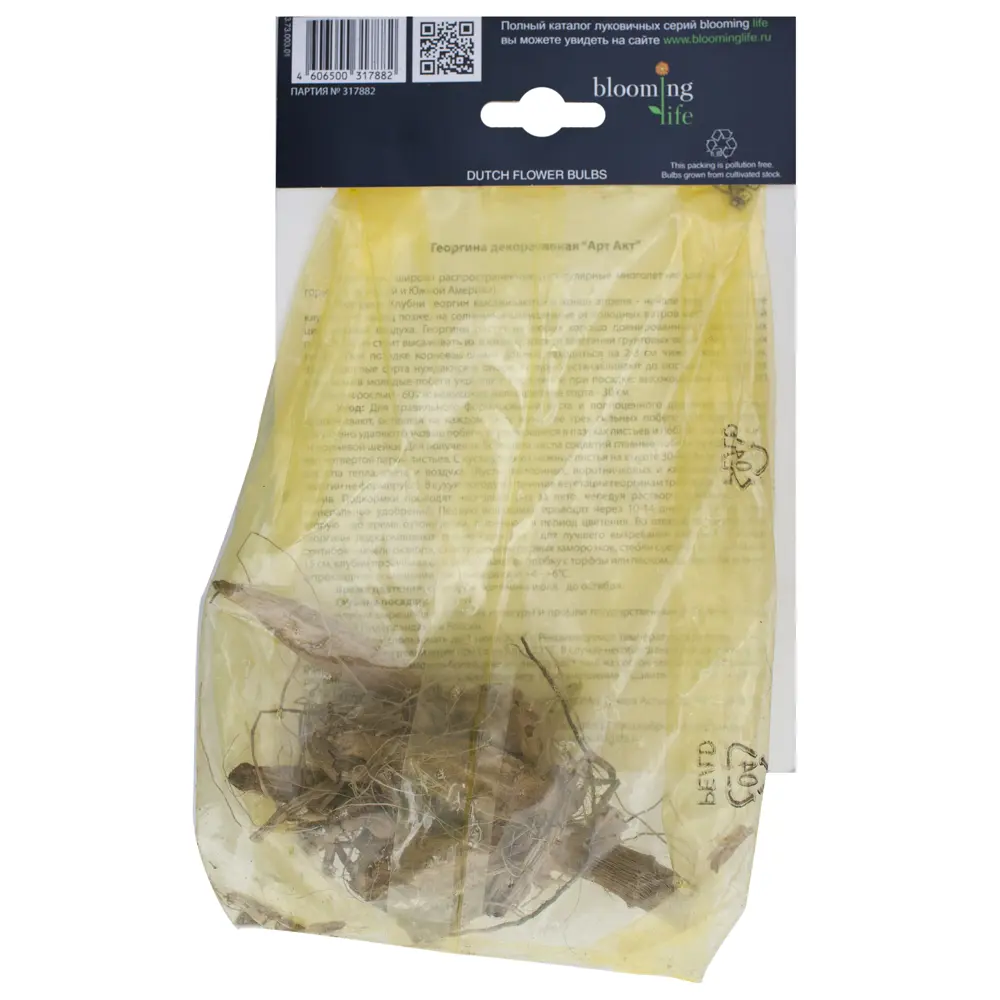 Фото 2 Георгина декоративная Арт Акт I Фото 2 Георгина декоративная Арт Акт I