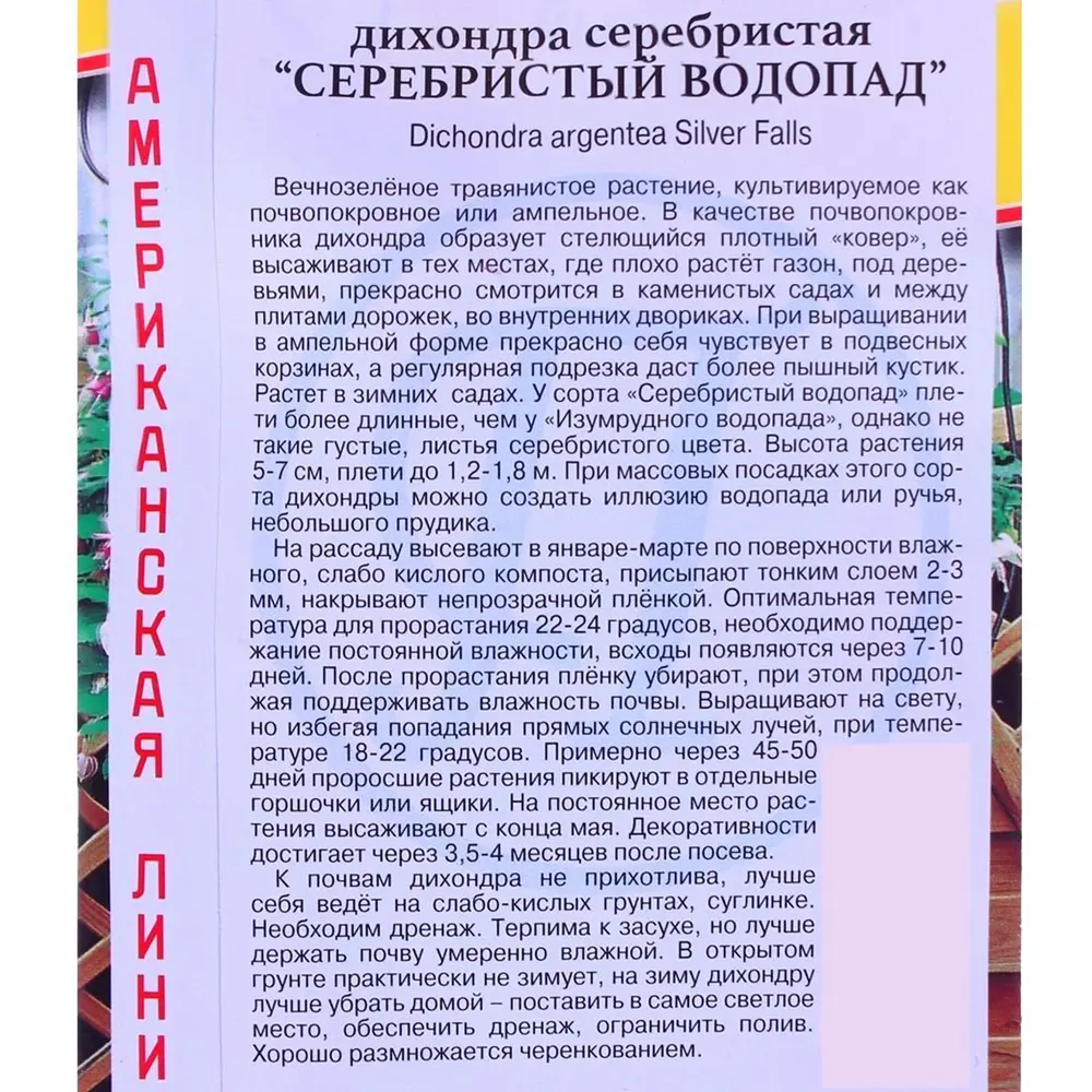 Фото 2 Дихондра ползучая «Серебряный водопад» Фото 2 Дихондра ползучая «Серебряный водопад»