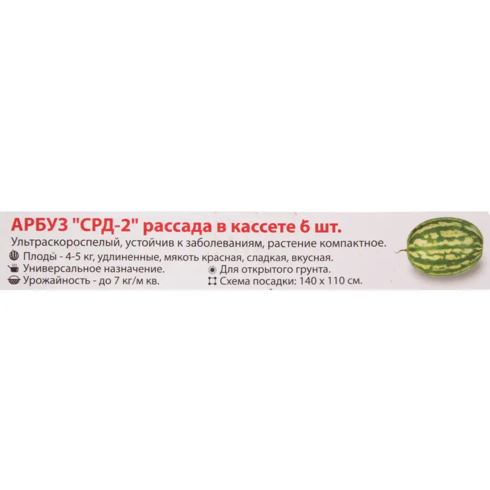 Фото 2 Рассада Арбуза 6x20 см Фото 2 Рассада Арбуза 6x20 см