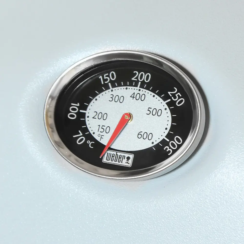 Фото 8 Гриль газовый Weber Q1200 Фото 8 Гриль газовый Weber Q1200