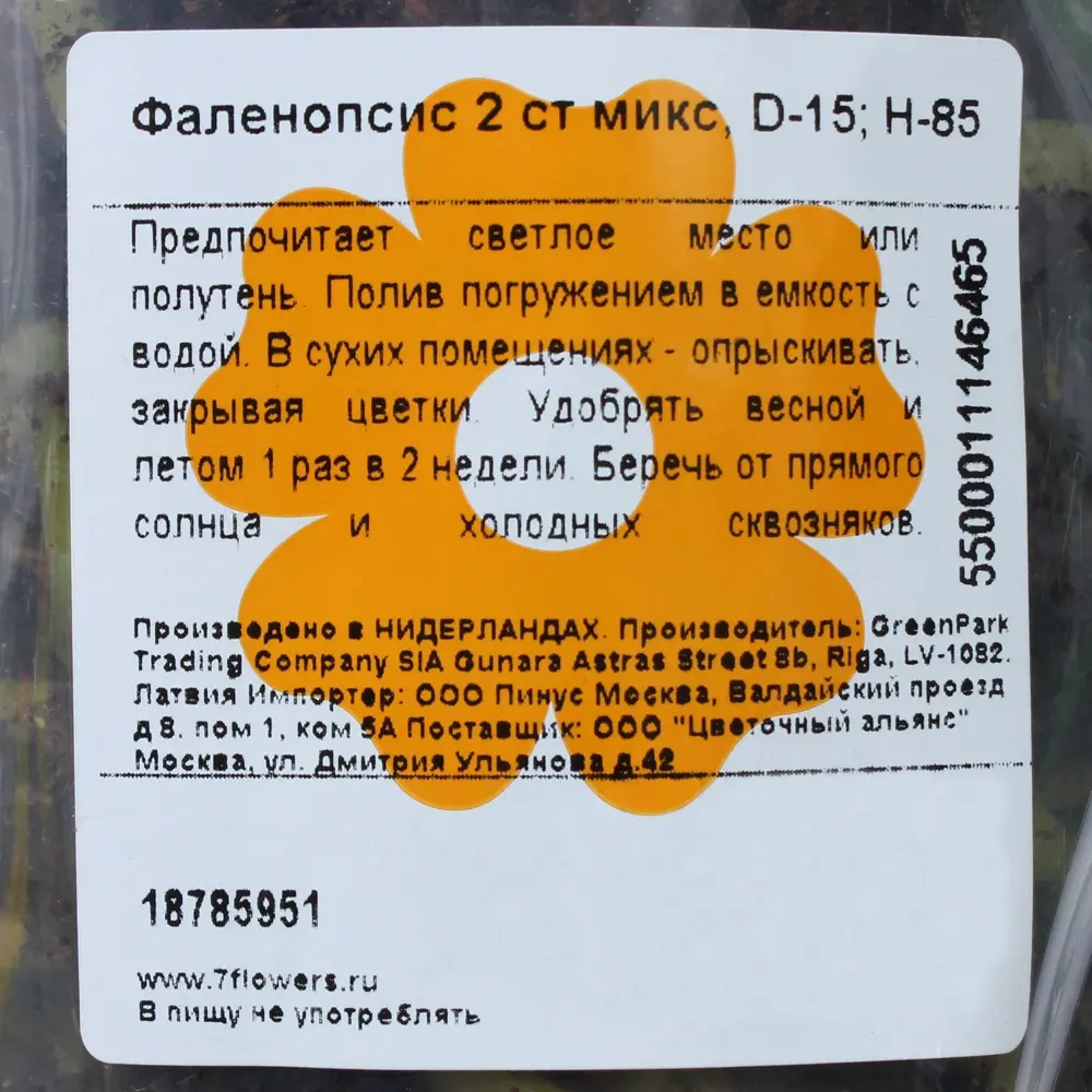 Фото 3 Орхидея Фаленопсис микс 2 стебля ø15 h85 см Центр букетов Фото 3 Орхидея Фаленопсис микс 2 стебля ø15 h85 см Центр букетов