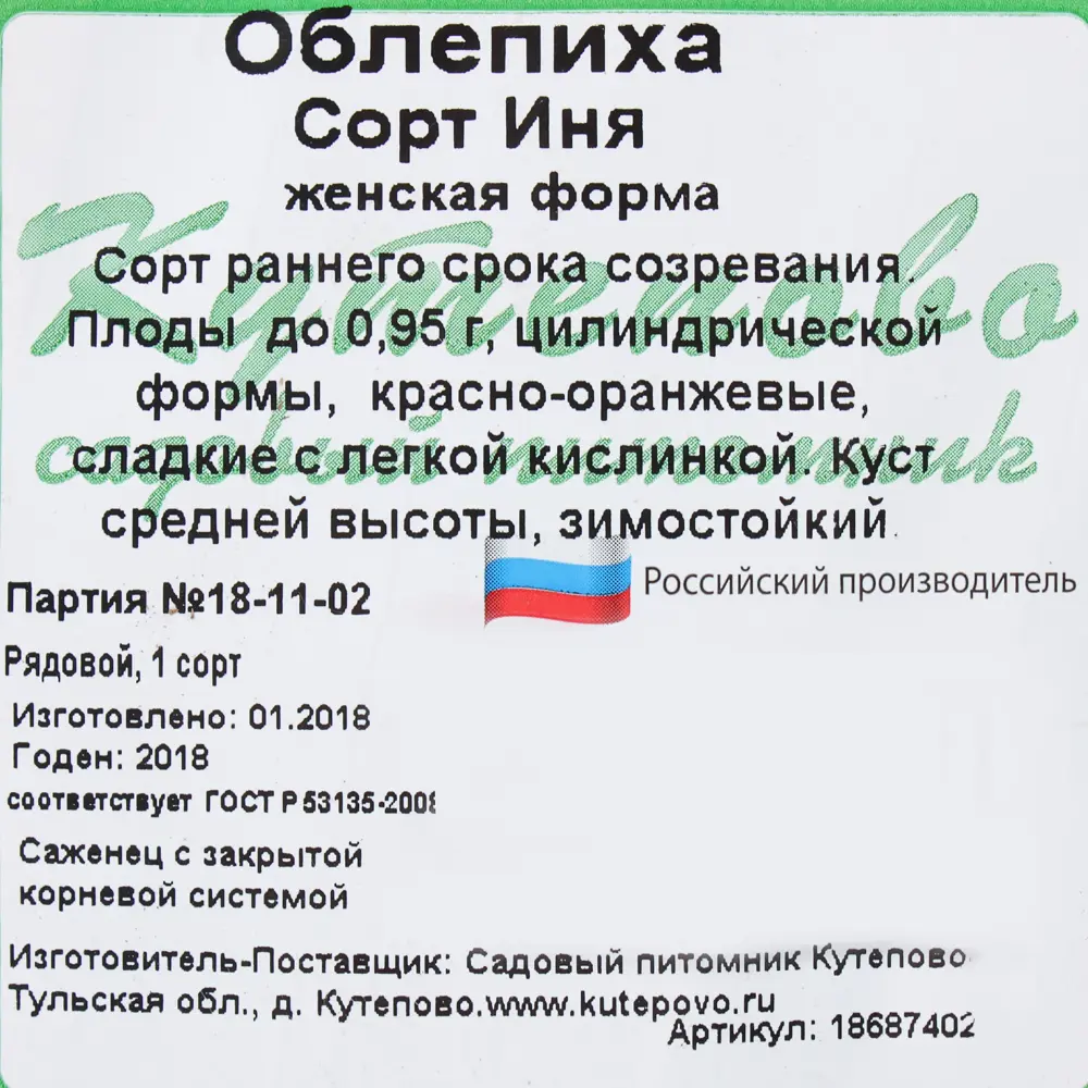 Фото 4 Облепиха «Иня» С25, 2 года, диаметр 15 см, высота 30 см Фото 4 Облепиха «Иня» С25, 2 года, диаметр 15 см, высота 30 см