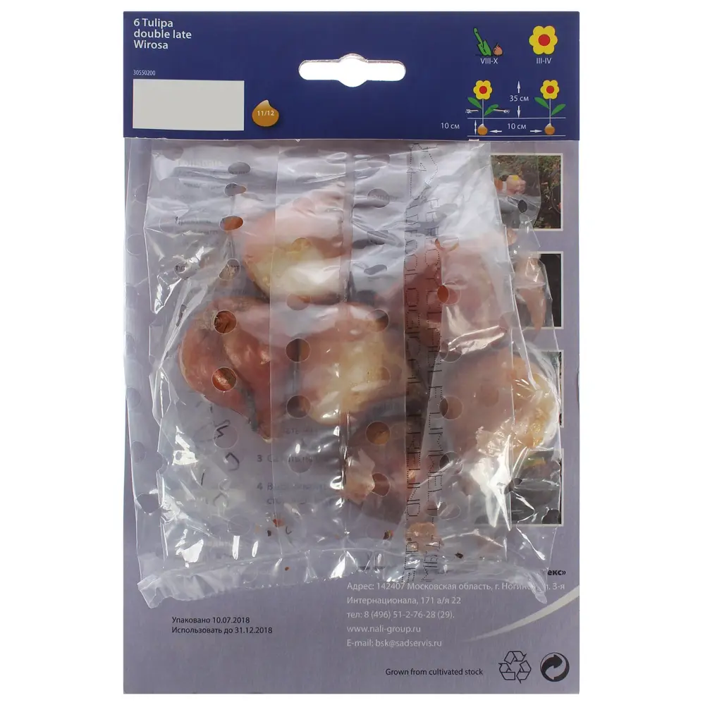 Фото 2 Тюльпан «Вироза», размер луковицы 11/12 Фото 2 Тюльпан «Вироза», размер луковицы 11/12