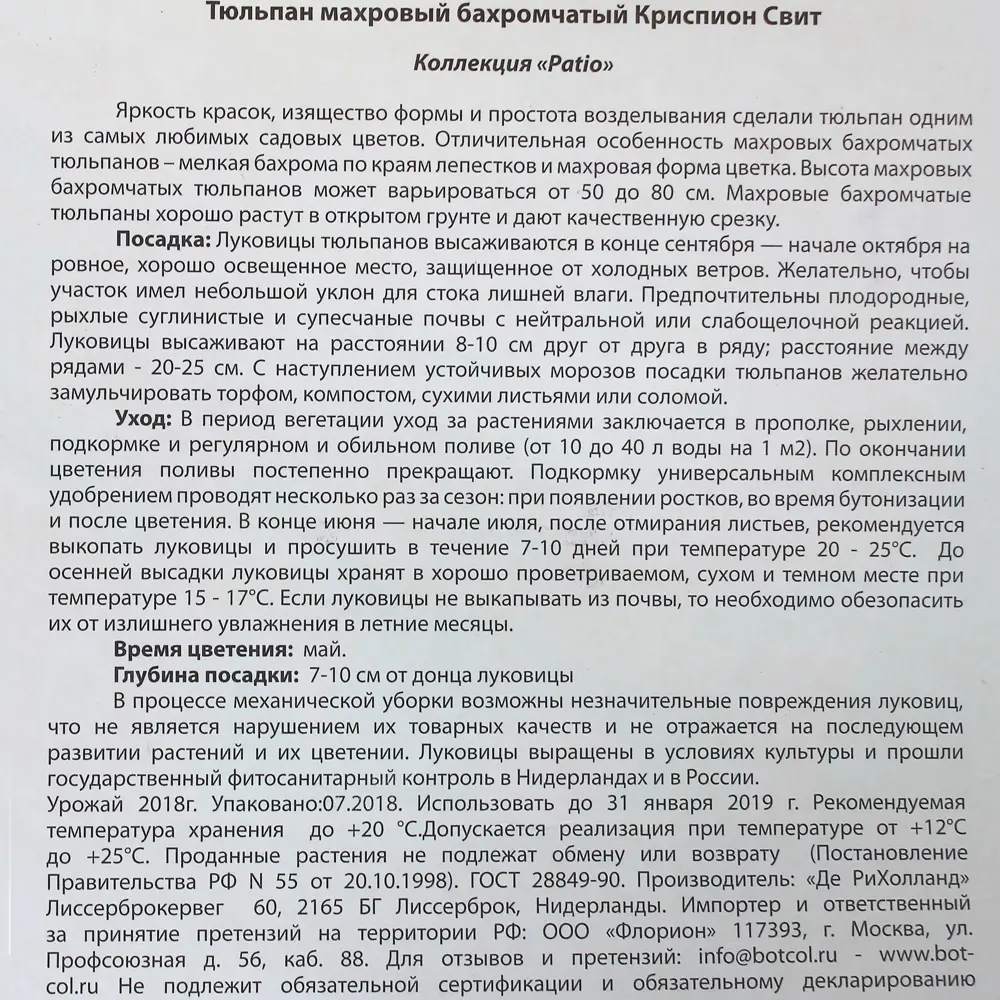 Фото 3 Тюльпан бахромчатый «Криспион Свит» Фото 3 Тюльпан бахромчатый «Криспион Свит»