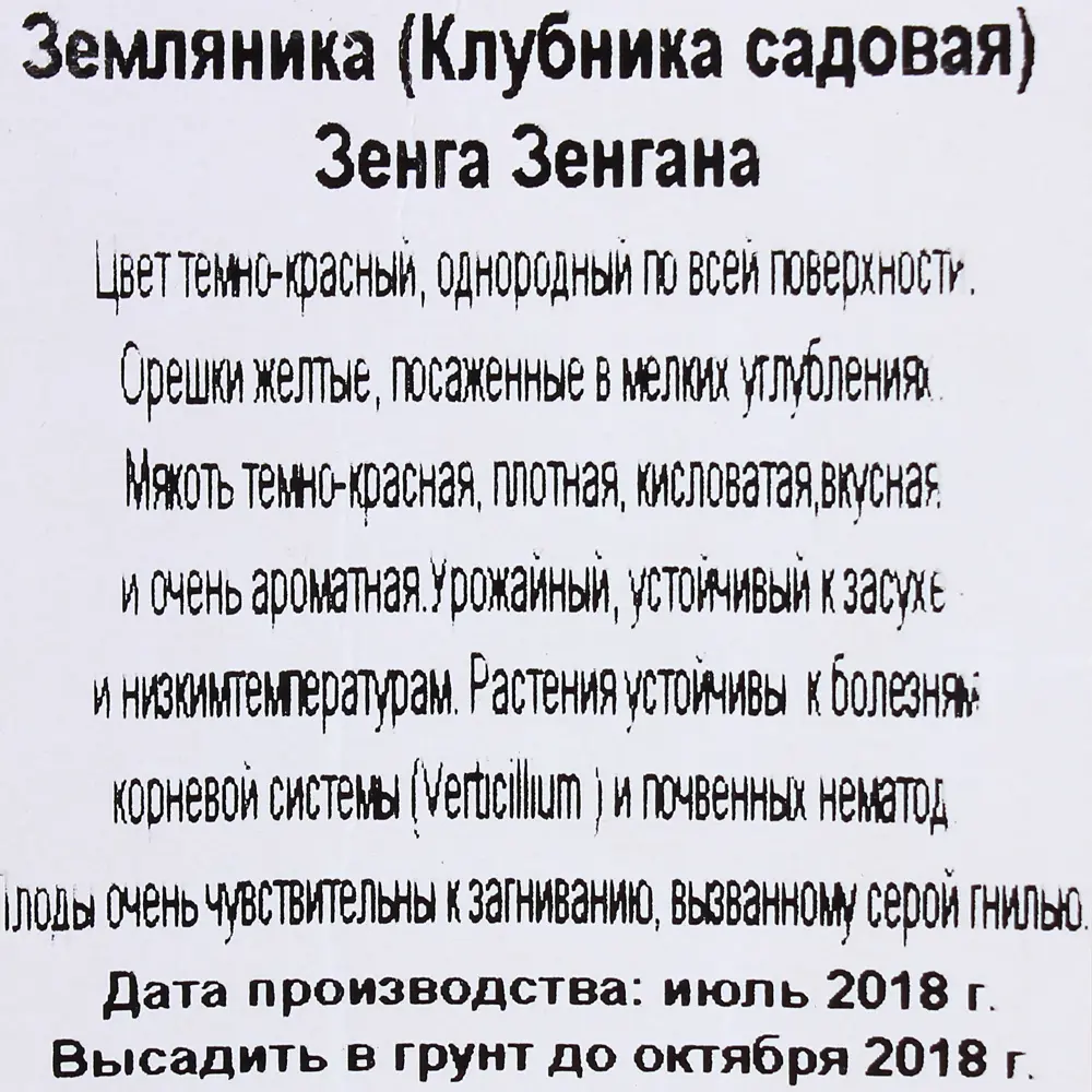 Фото 3 Клубника «Зенга Зенгана» (1/24) Фото 3 Клубника «Зенга Зенгана» (1/24)