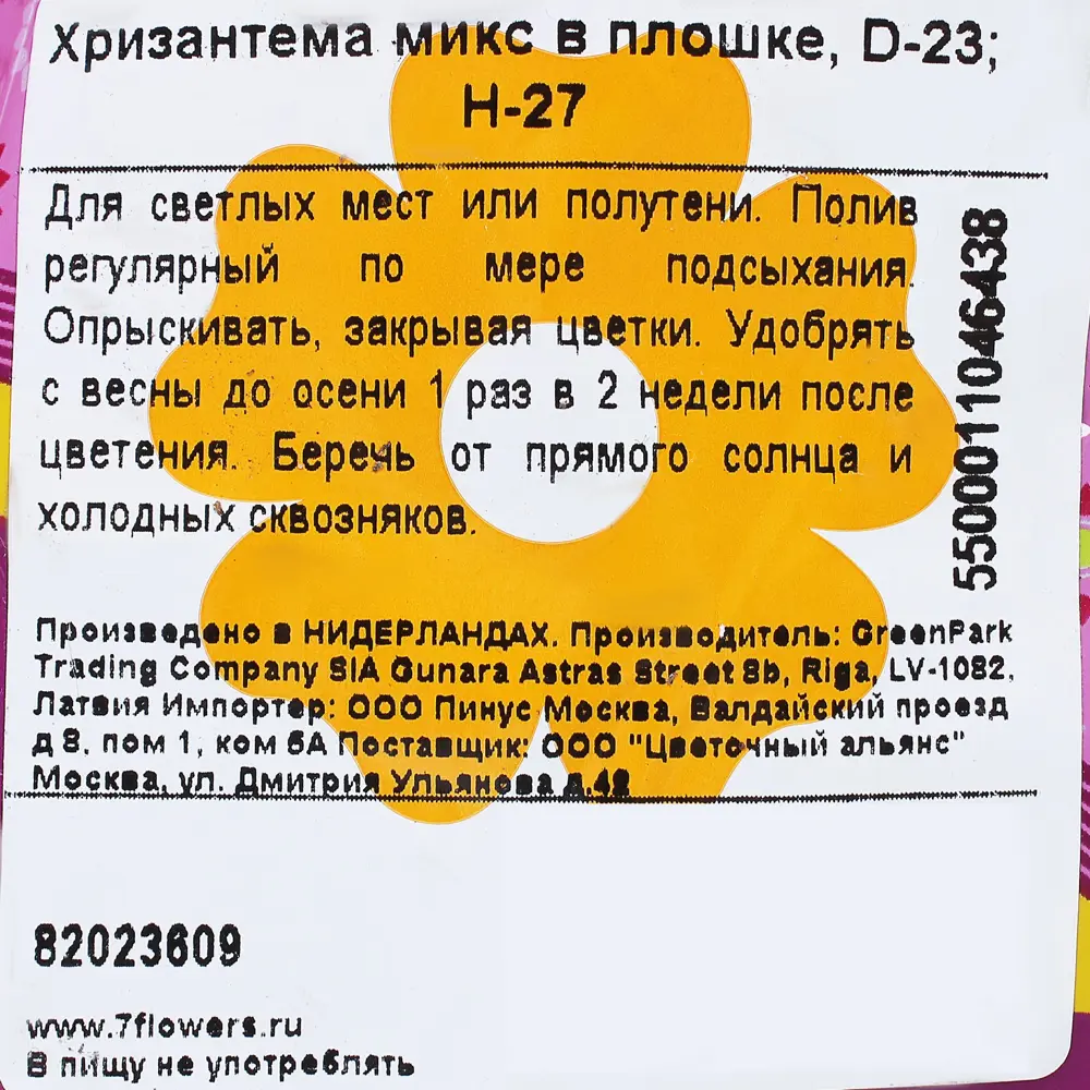 Фото 4 Хризантема микс ø23 h27 см Фото 4 Хризантема микс ø23 h27 см