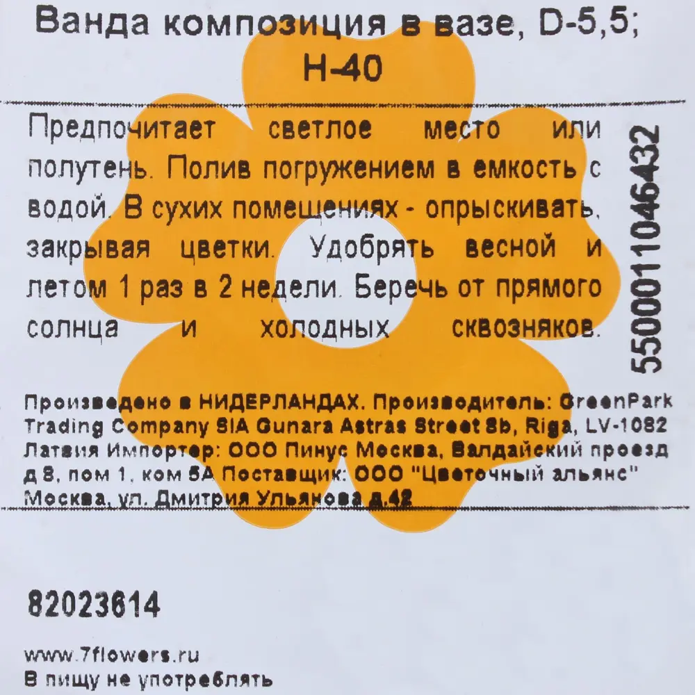 Фото 6 Ванда композиция в вазе Фото 6 Ванда композиция в вазе