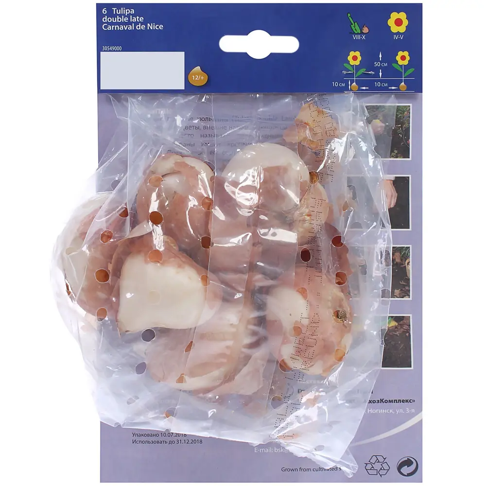 Фото 2 Тюльпан «Карнавал Де Найс» размер луковицы 12/, 6 шт. Фото 2 Тюльпан «Карнавал Де Найс» размер луковицы 12/, 6 шт.