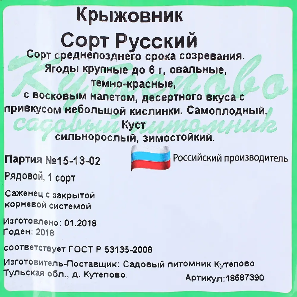 Фото 3 Крыжовник «Русский» С25, 2 года, диаметр 15 см, высота 30 см Фото 3 Крыжовник «Русский» С25, 2 года, диаметр 15 см, высота 30 см