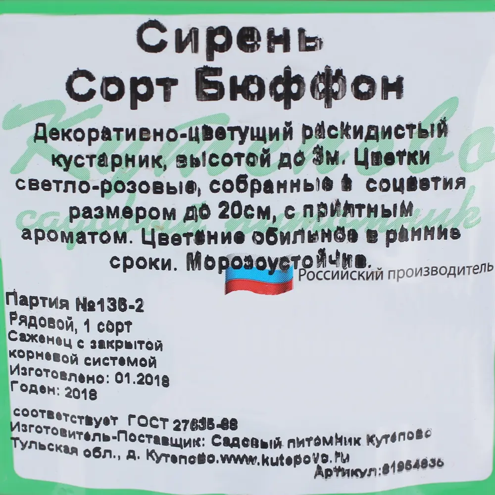 Фото 3 Сирень С2 «Бюффон» h3 Фото 3 Сирень С2 «Бюффон» h3