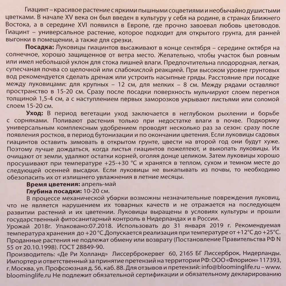 Фото 3 Гиацинт махровый «Мадам София»