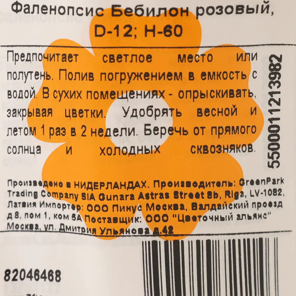 Фото 2 Орхидея Фаленопсис Бэйбилон ø12 h60 см розовый Фото 2 Орхидея Фаленопсис Бэйбилон ø12 h60 см розовый