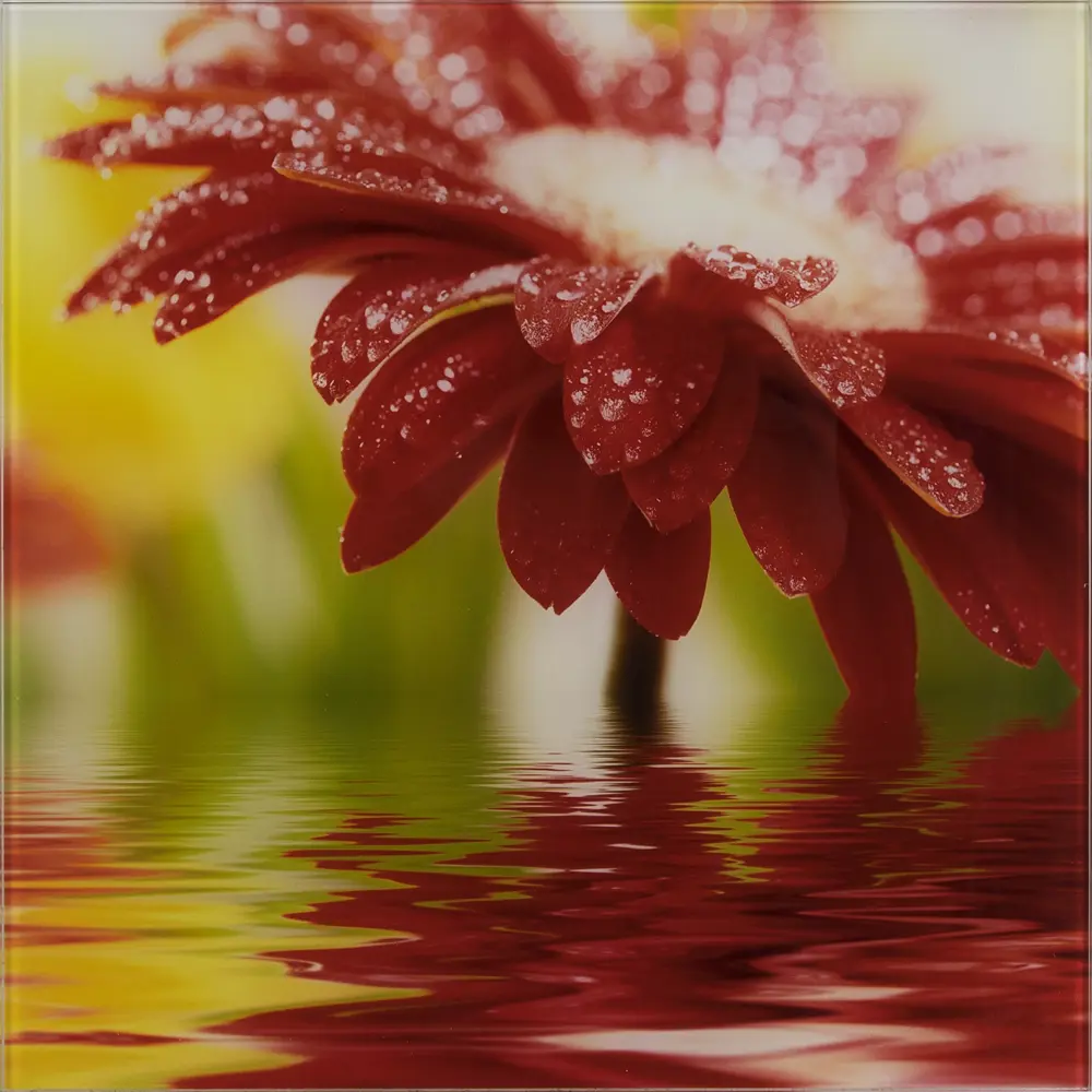 Фото Картина на стекле 30x30 см Red flower 27737524 Фото Картина на стекле 30x30 см Red flower 27737524