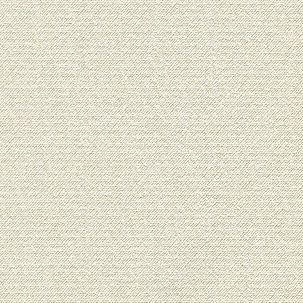 Фото Обои флизелиновые Rasch New Wave бежевые 1.06 м 806007