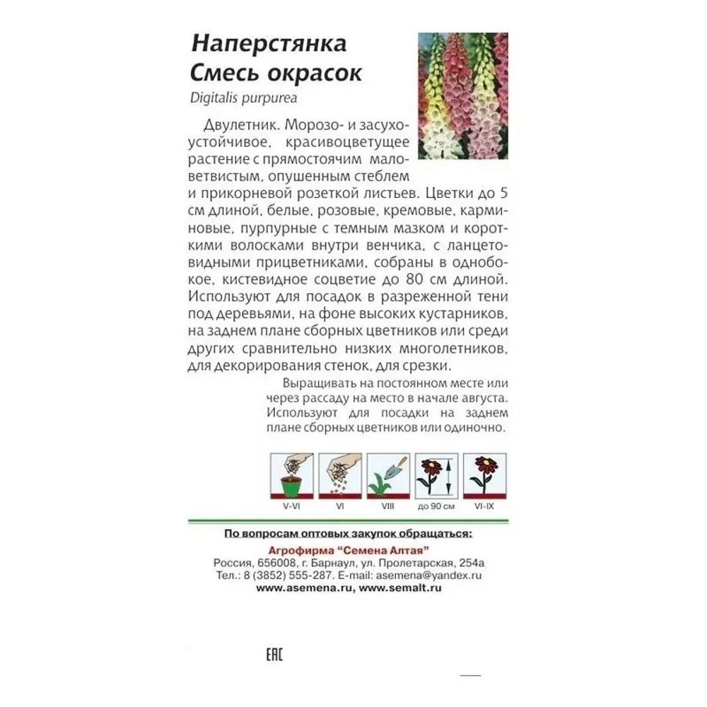 Фото 4 Наперстянка «Смесь окрасок» Фото 4 Наперстянка «Смесь окрасок»
