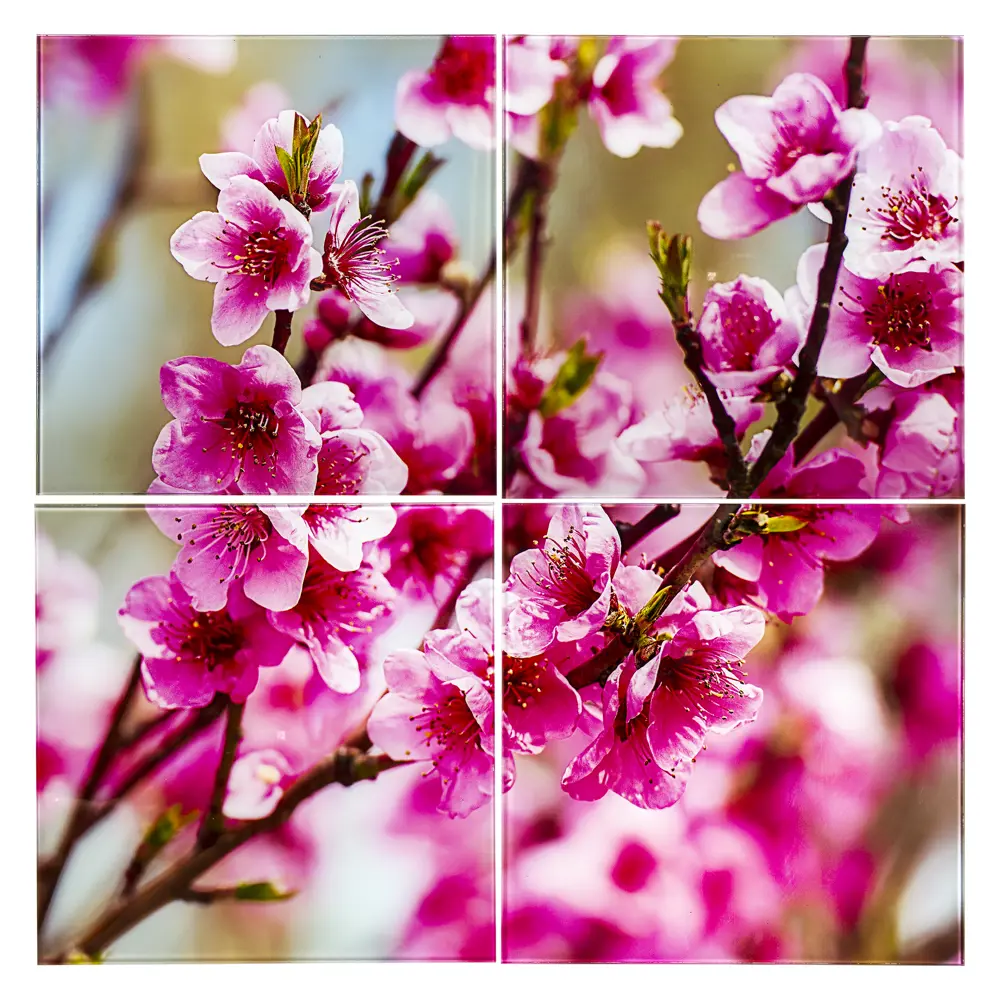 Фото Постер на стекле D-ART 30x30 см «Цветение» 4 шт. Фото Постер на стекле D-ART 30x30 см «Цветение» 4 шт.