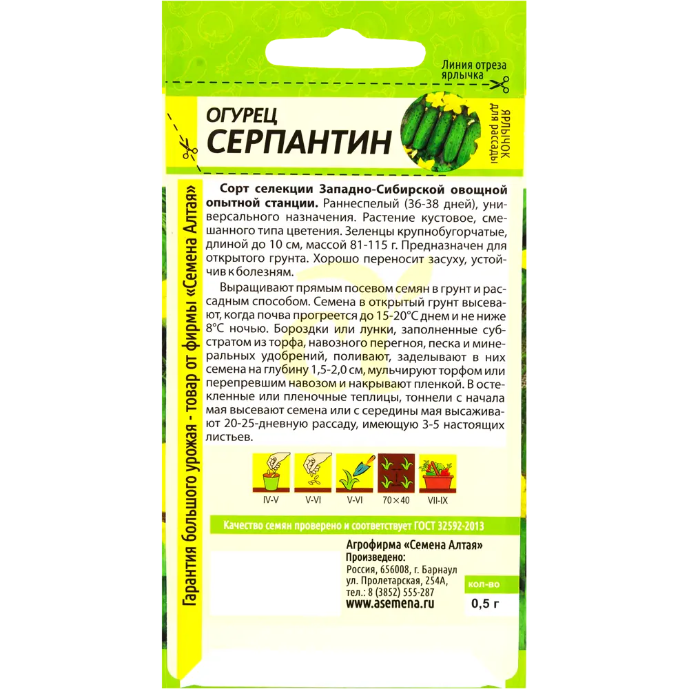 Фото 2 Семена Огурец Серпантин Детская грядка Фото 2 Семена Огурец Серпантин Детская грядка