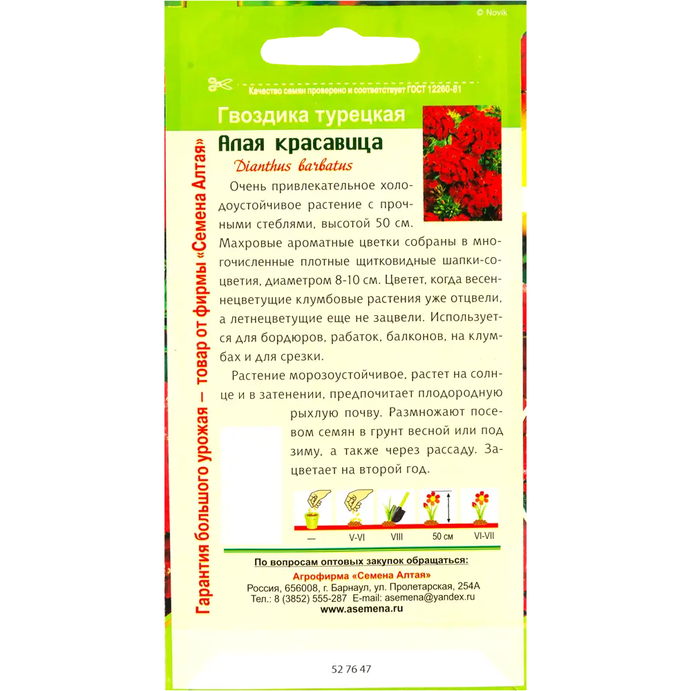 Фото 2 Гвоздика турецкая «Алая красавица»