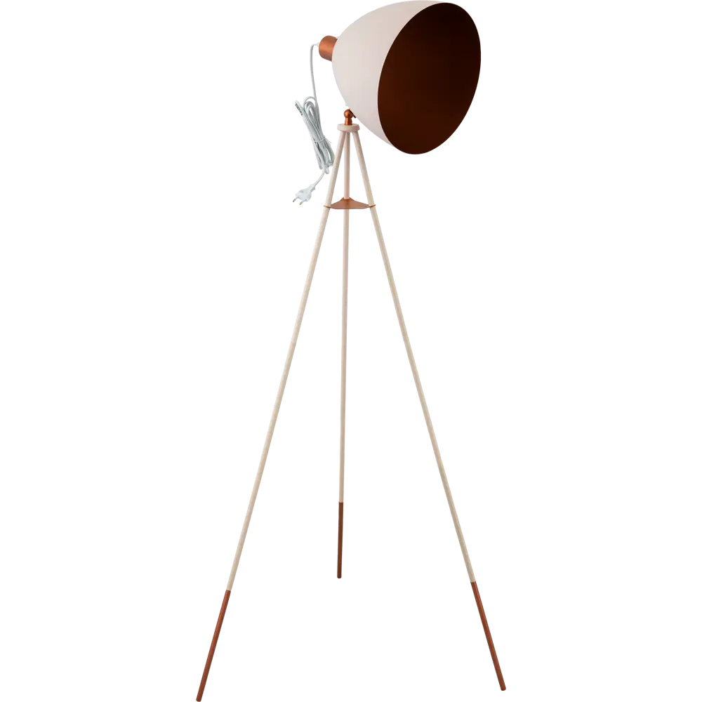 Фото Торшер Eglo «Chester-P» 1xE27x60 Вт, цвет абрикос Фото Торшер Eglo «Chester-P» 1xE27x60 Вт, цвет абрикос