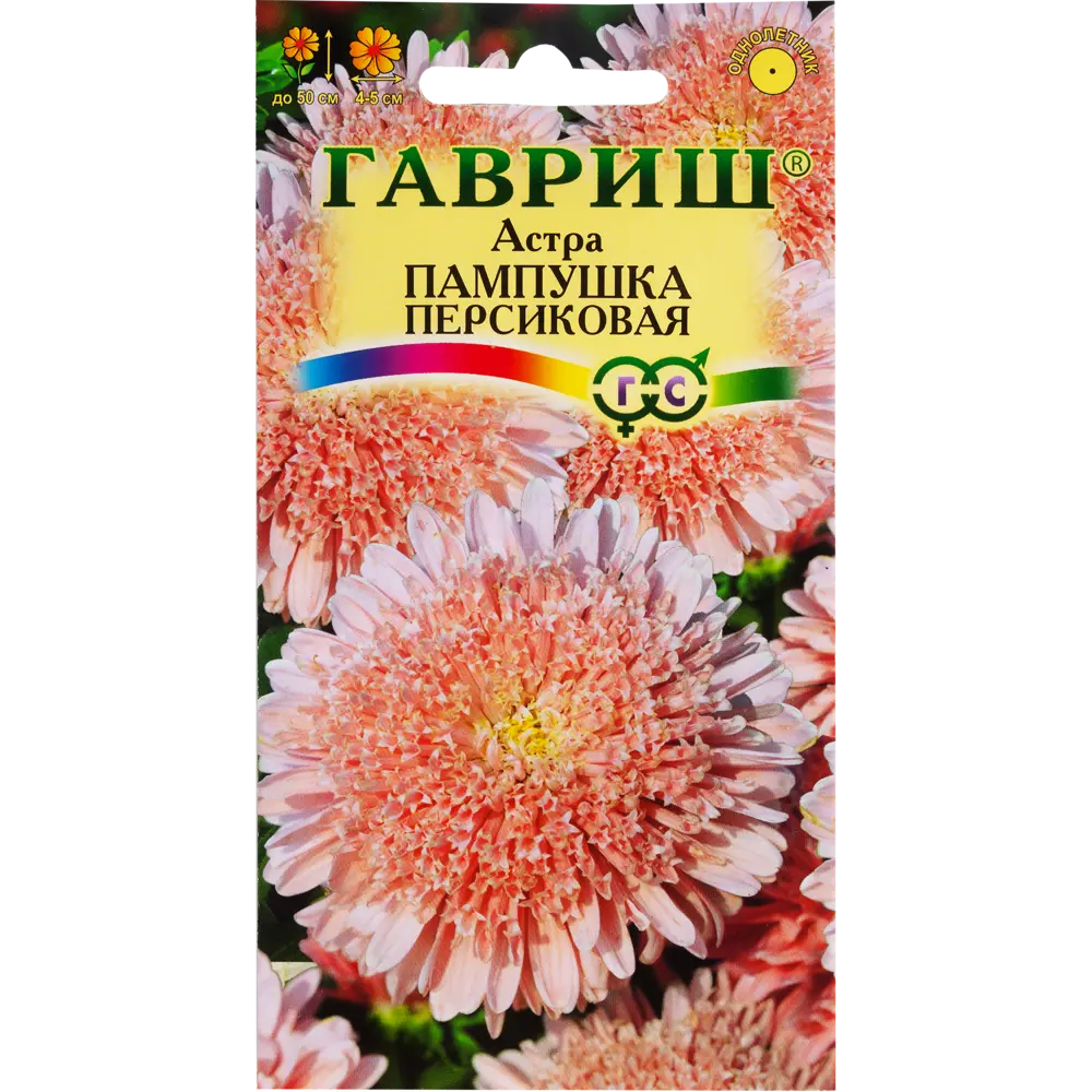 Фото Астра «Пампушка персиковая» помпонная, 0.3 г Фото Астра «Пампушка персиковая» помпонная, 0.3 г