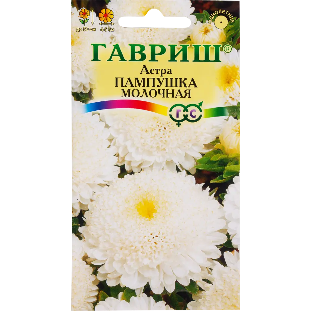 Фото Астра «Пампушка молочная» помпонная, 0.3 г Фото Астра «Пампушка молочная» помпонная, 0.3 г