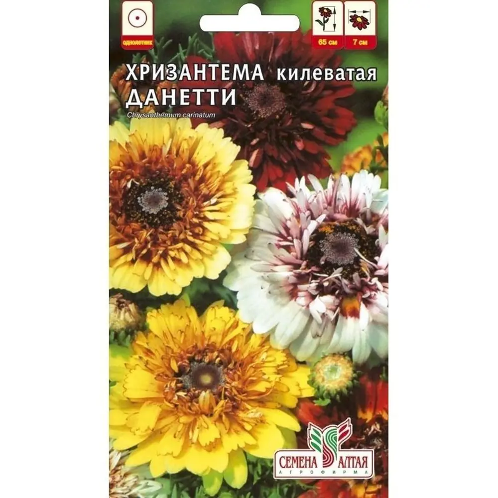 Фото Семена цветов Хризантема Данетти смесь окрасок Семена Алтая Фото Семена цветов Хризантема Данетти смесь окрасок Семена Алтая