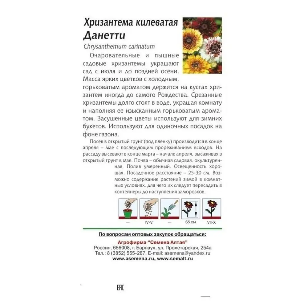 Фото 2 Семена цветов Хризантема Данетти смесь окрасок Семена Алтая Фото 2 Семена цветов Хризантема Данетти смесь окрасок Семена Алтая
