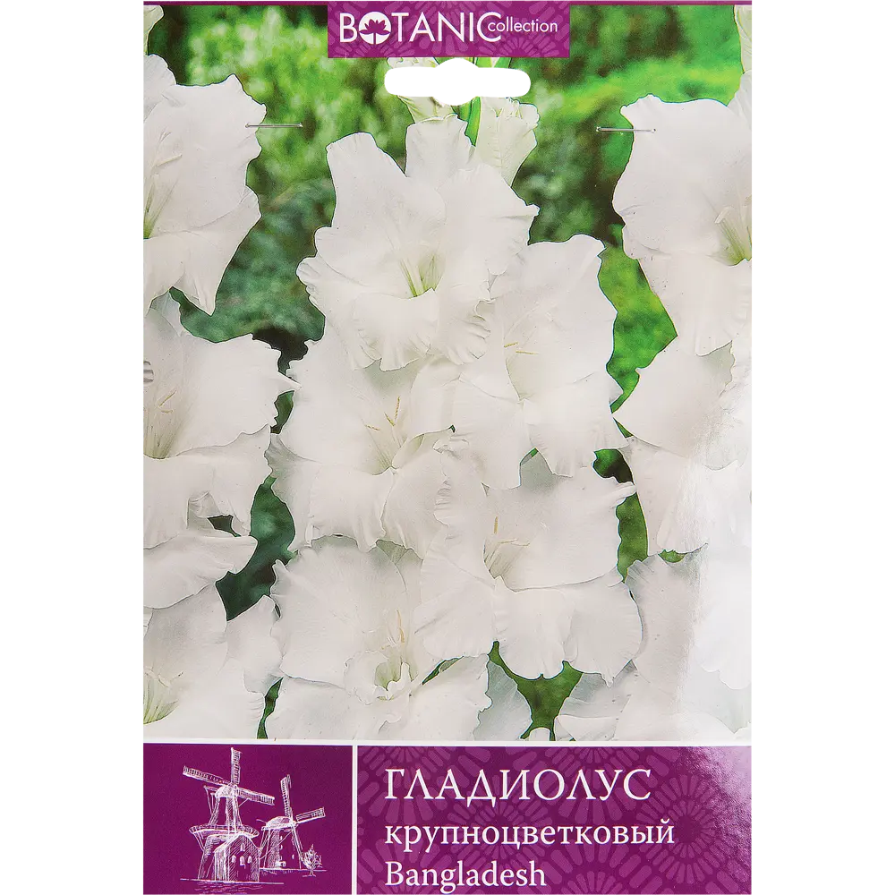 Фото Гладиолус крупноцветковый Бангладеш 10/12, 10 шт