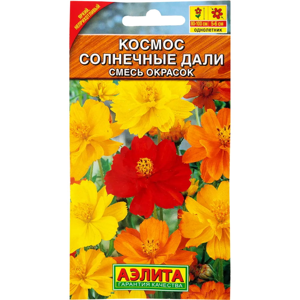 Фото Космея «Солнечные дали» смесь окрасок Фото Космея «Солнечные дали» смесь окрасок