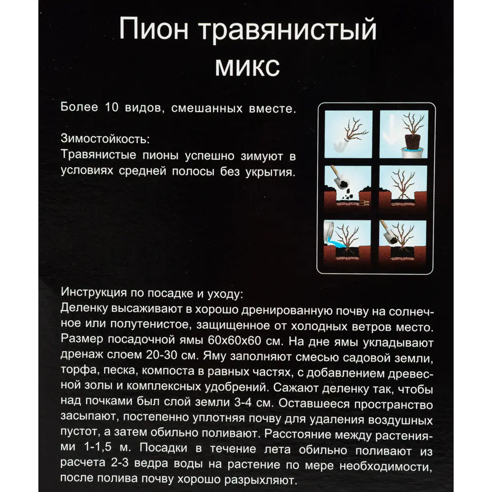 Фото 3 Микс травянистых пионов, в тубе Фото 3 Микс травянистых пионов, в тубе