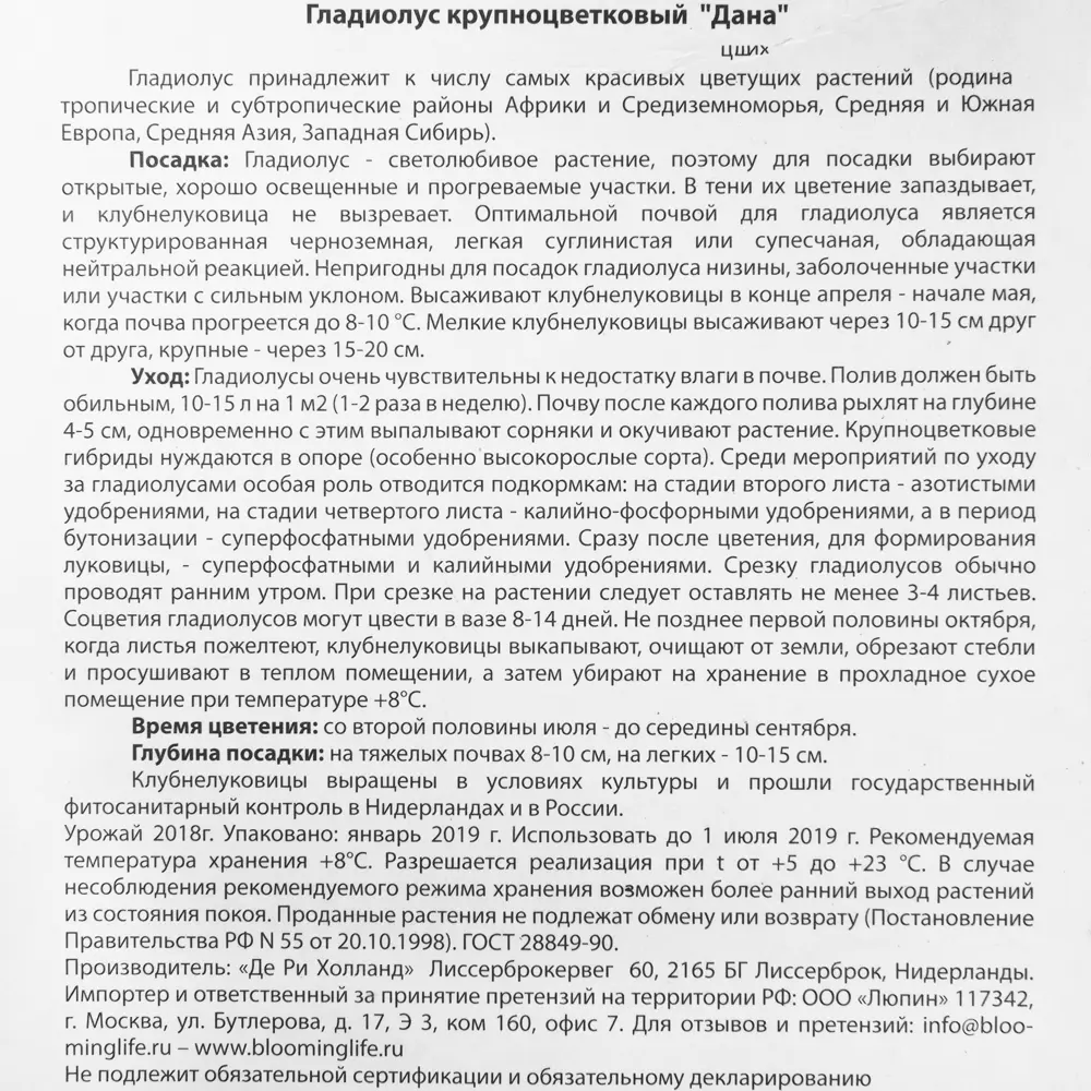 Фото 3 Гладиолус Крупноцветковый Дана, (12/14) Фото 3 Гладиолус Крупноцветковый Дана, (12/14)