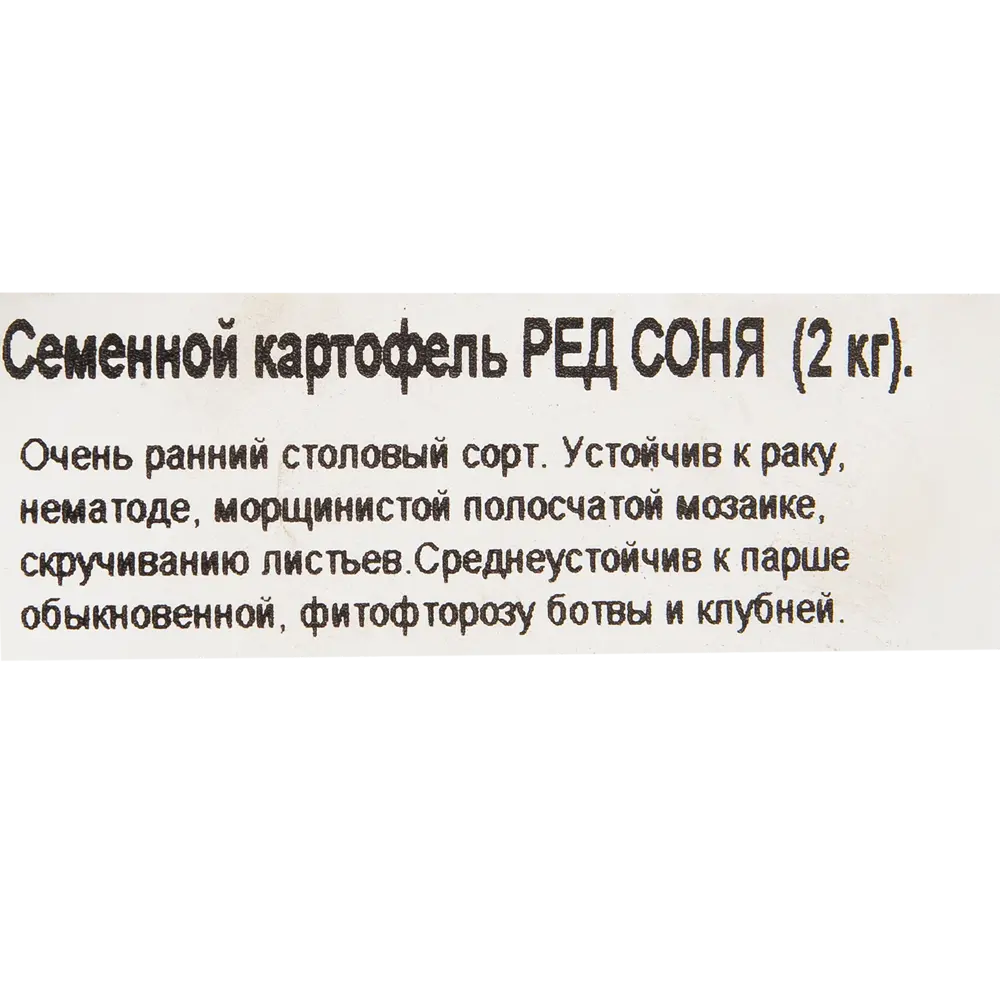 Фото 2 Картофель семенной «Ред Соня», 2 кг Фото 2 Картофель семенной «Ред Соня», 2 кг